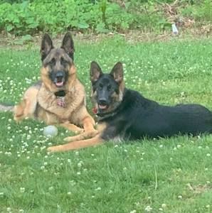 Meet your Posher, Michelle